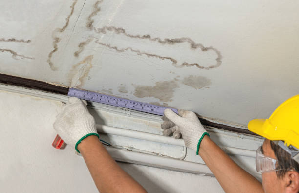 Reliable Water Damage contractor in Argyle, TX by Water Damage Irwin